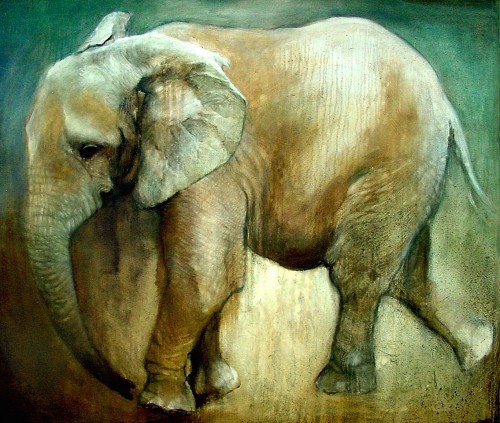 As if anyhing here belonged to you - Baby elephant
